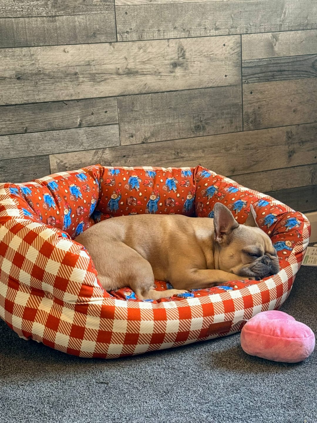 Customer photo review of Dog Bed - Paddington™