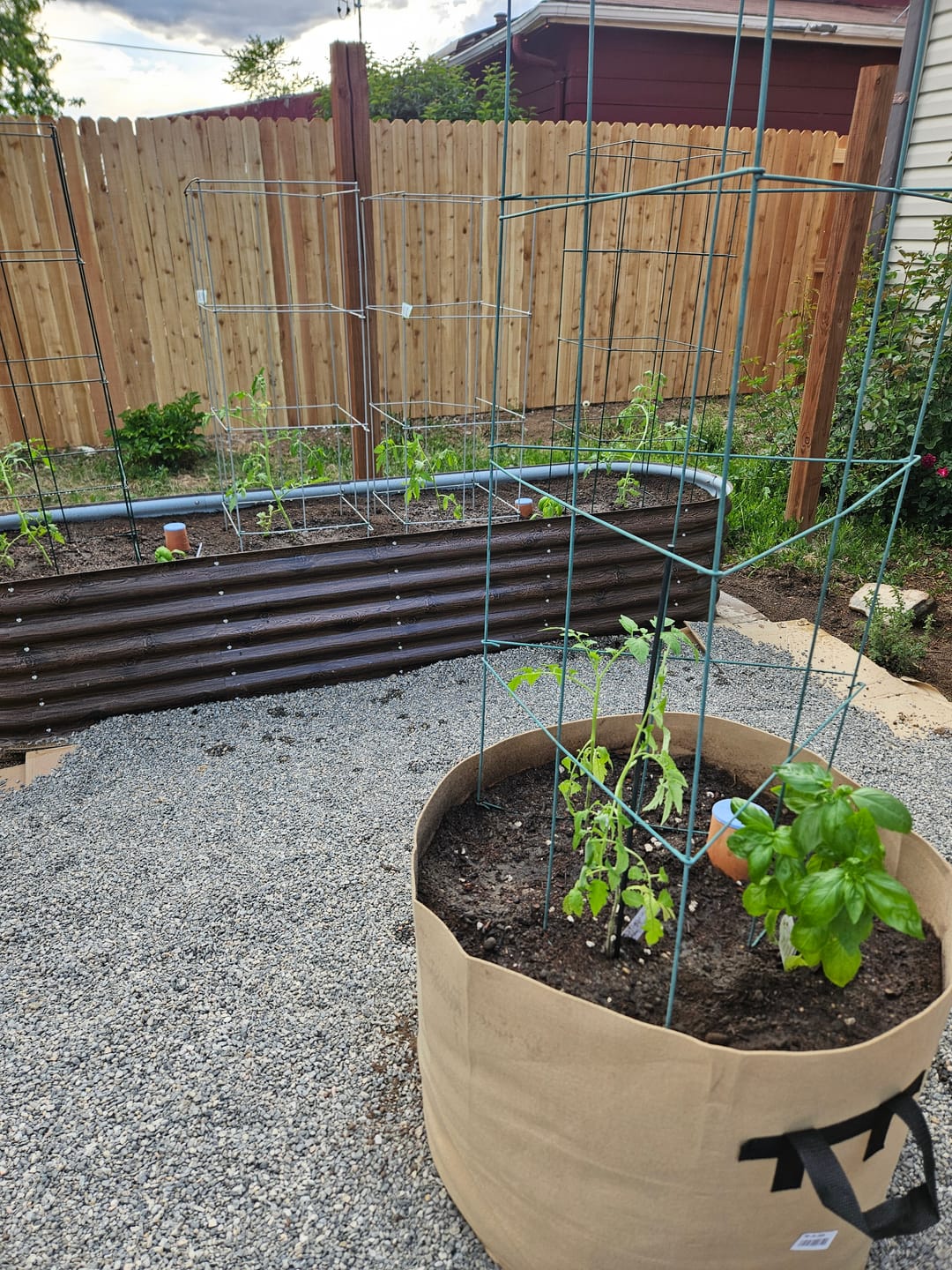 Customer photo review of Garden Olla Watering Pot