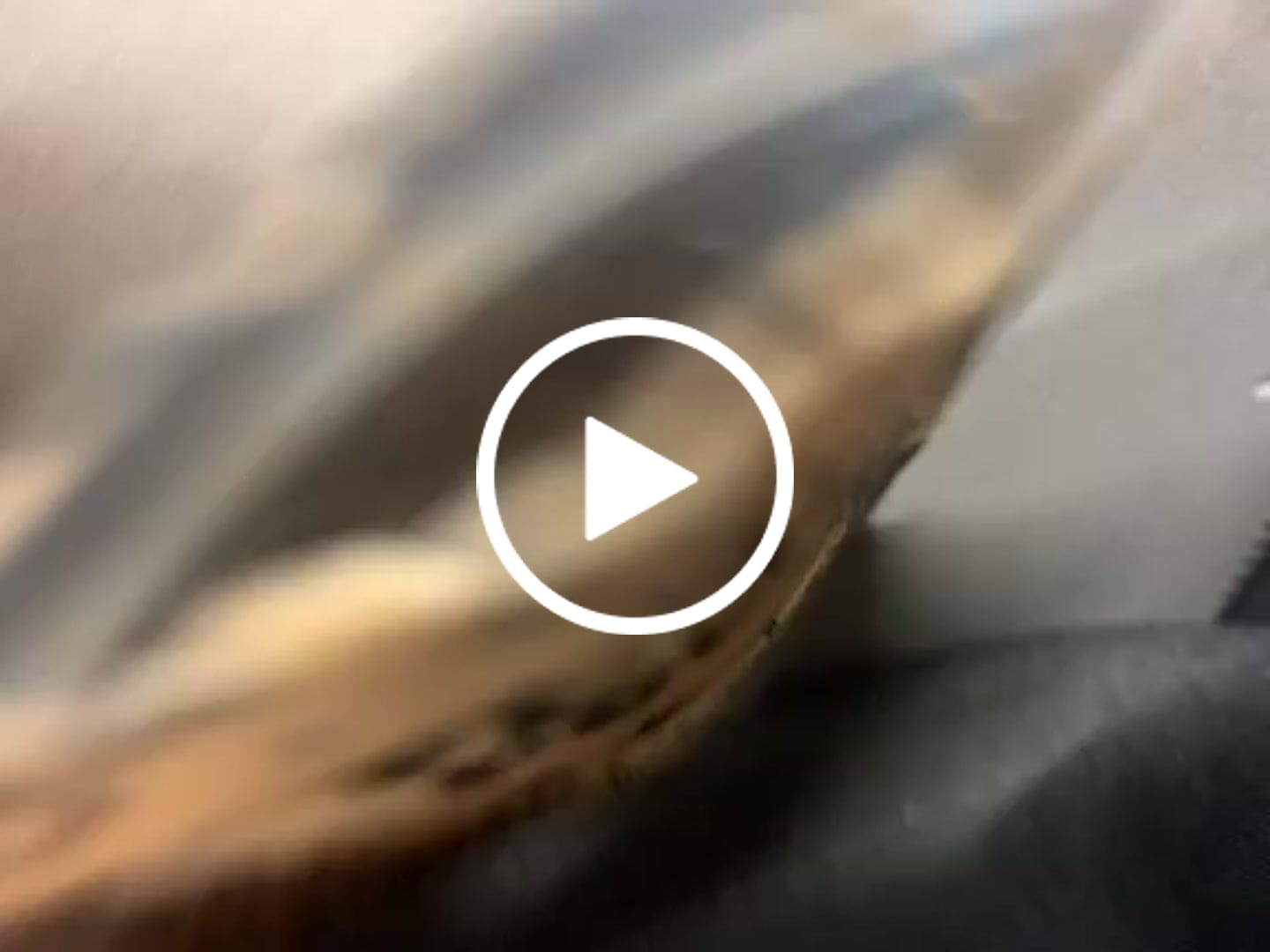 Customer video review of 🔮 Magic Hasch Brownies - POWER LVL: 5/5