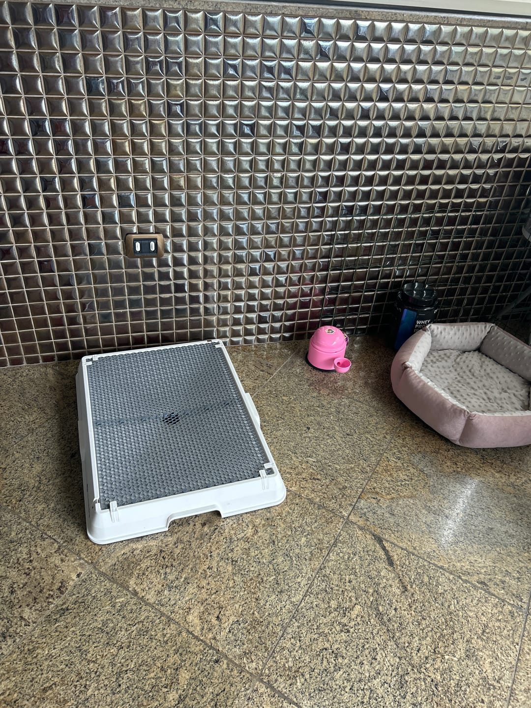 Customer photo review of Weasy Cão | Banheiro inteligente para cachorro