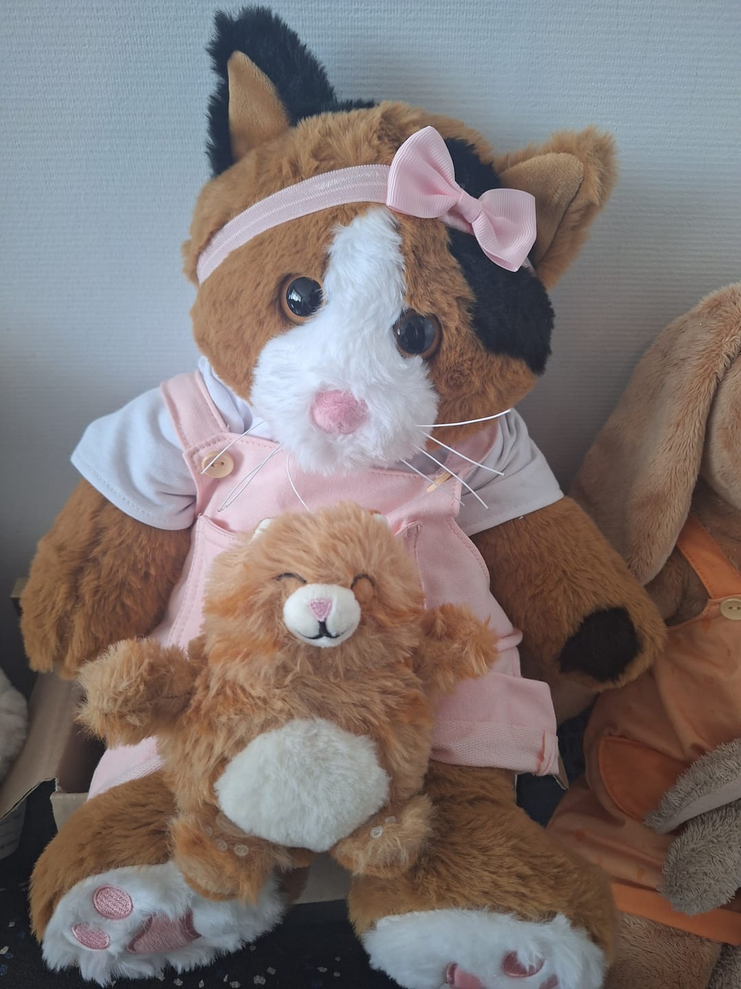 Customer photo review of Verzwaringsknuffel Kat 2,2 kg + Gratis Pittenzakje