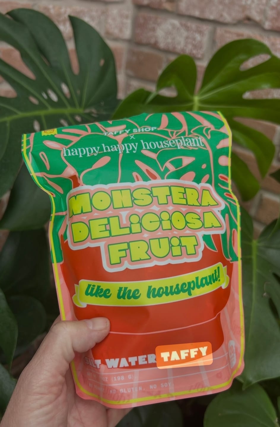 Customer photo review of Monstera Deliciosa Fruit Salt Water Taffy