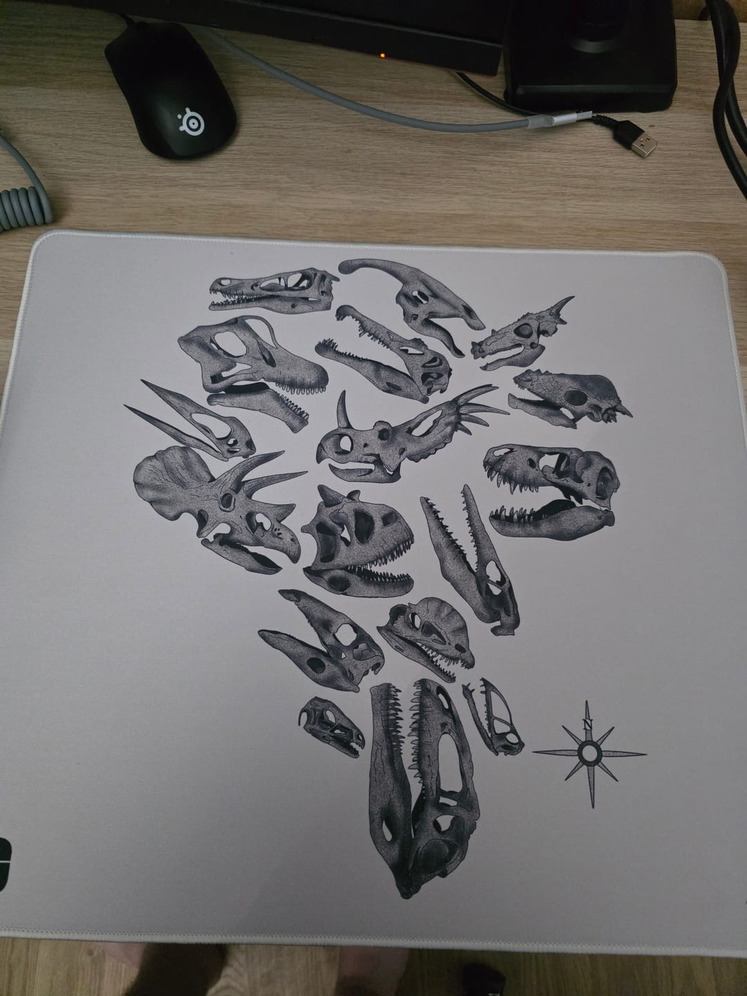 Customer photo review of Isla Nublar