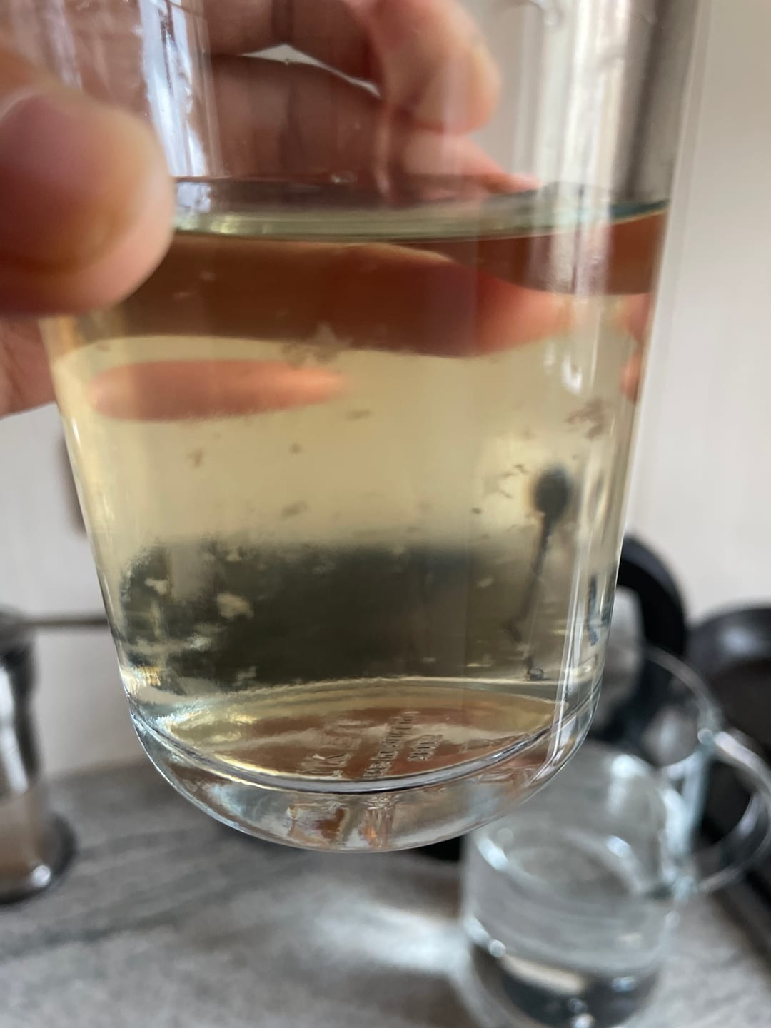 Customer photo review of Alcohol-Free Lion's Mane Liquid Extract 100 ml BIO/ 3.38 fl. oz.