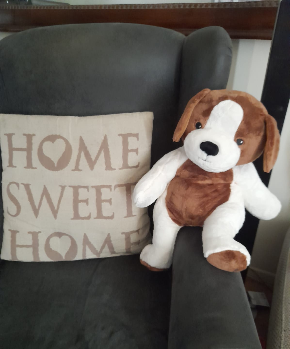 Customer photo review of Lotgenootje Hond 2kg