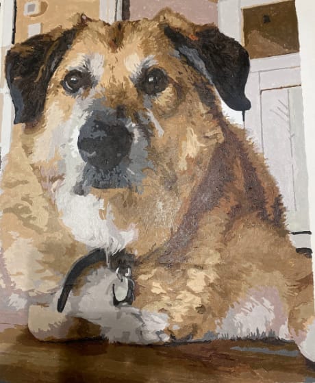 Customer photo review of Custom Paint By Numbers - Personalized Pet Portraits