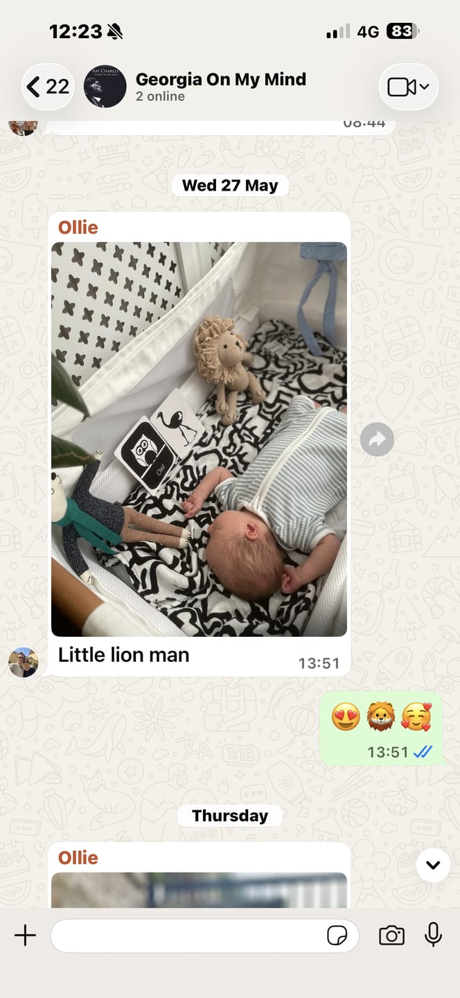 Customer photo review of Leo the Lion Crochet Toy