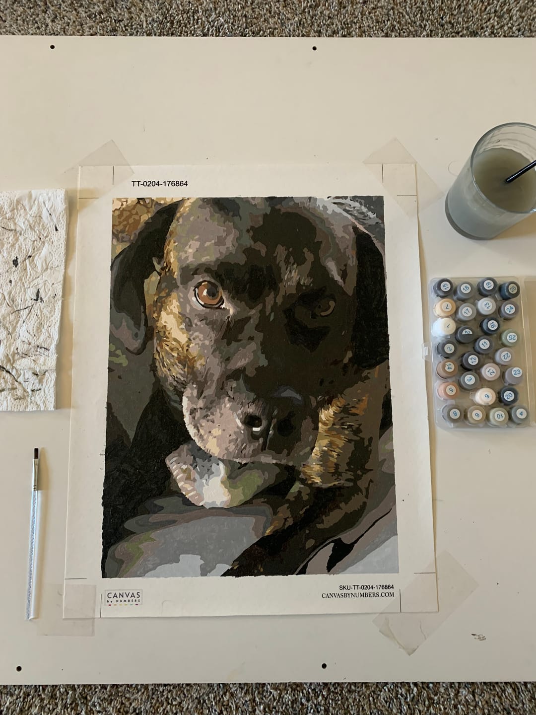 Customer photo review of Paint Your Pet by Numbers - Personalized Pet Portraits