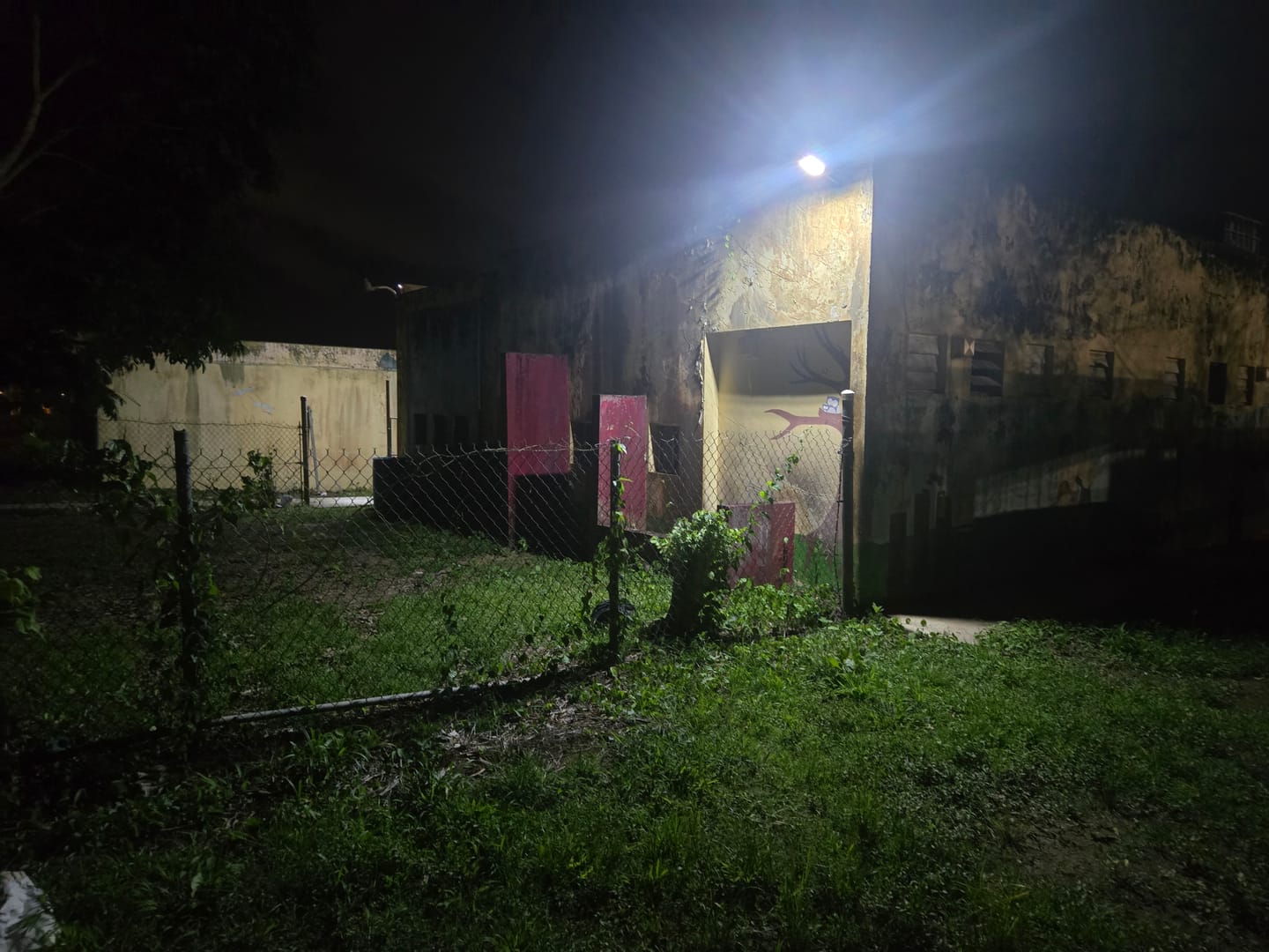 Customer photo review of Foco Solar 300W