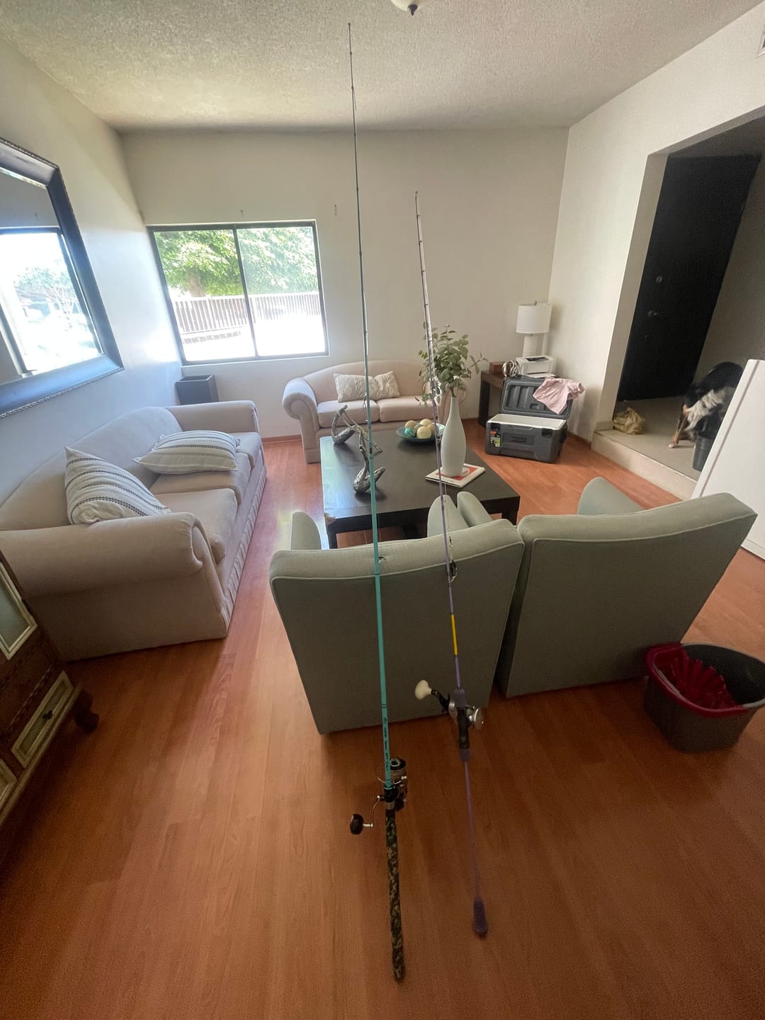 Customer photo review of GOOFISH® 8.0'(2.4m) Solid Nano Tech Blank Light Bass Popping Fishing Rod with FUJI