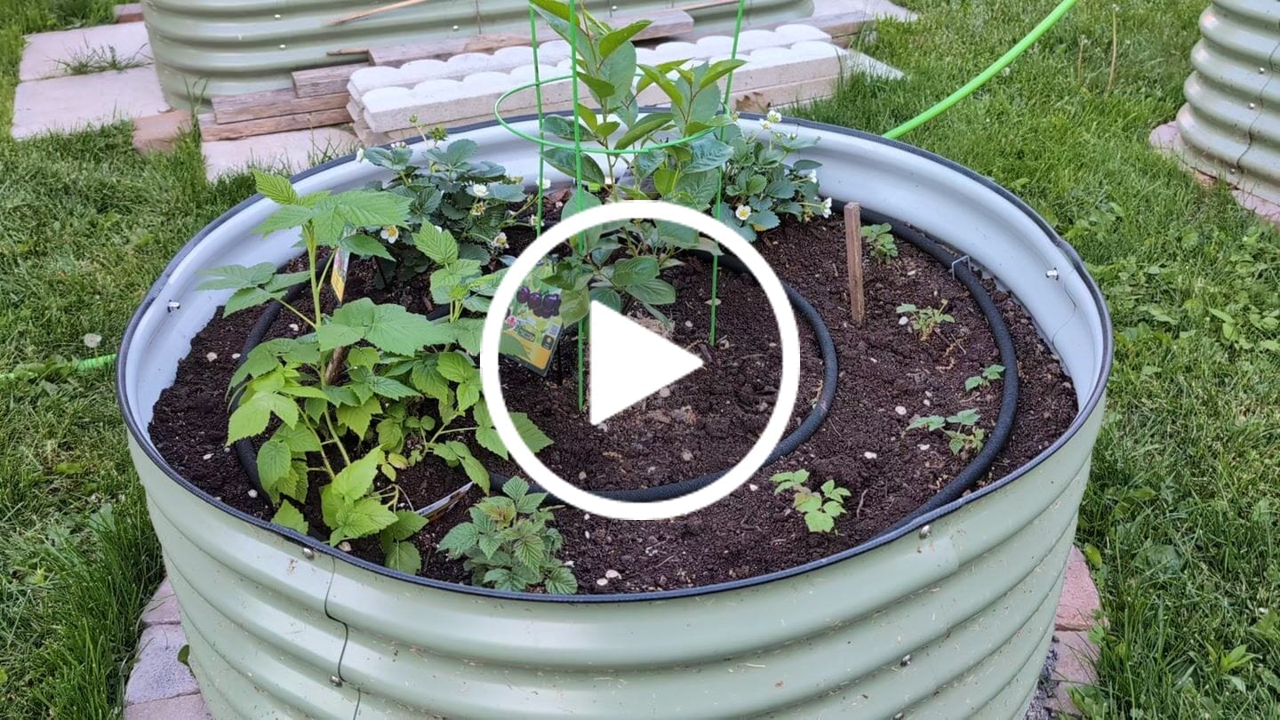 Customer video review of 17” Tall Large Round