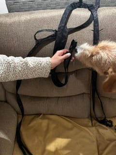 Customer photo review of Correa Doble para Dos Perros 3m | Antitirones, Mosquetón Táctico 360° | Black Camo - Street Dogs