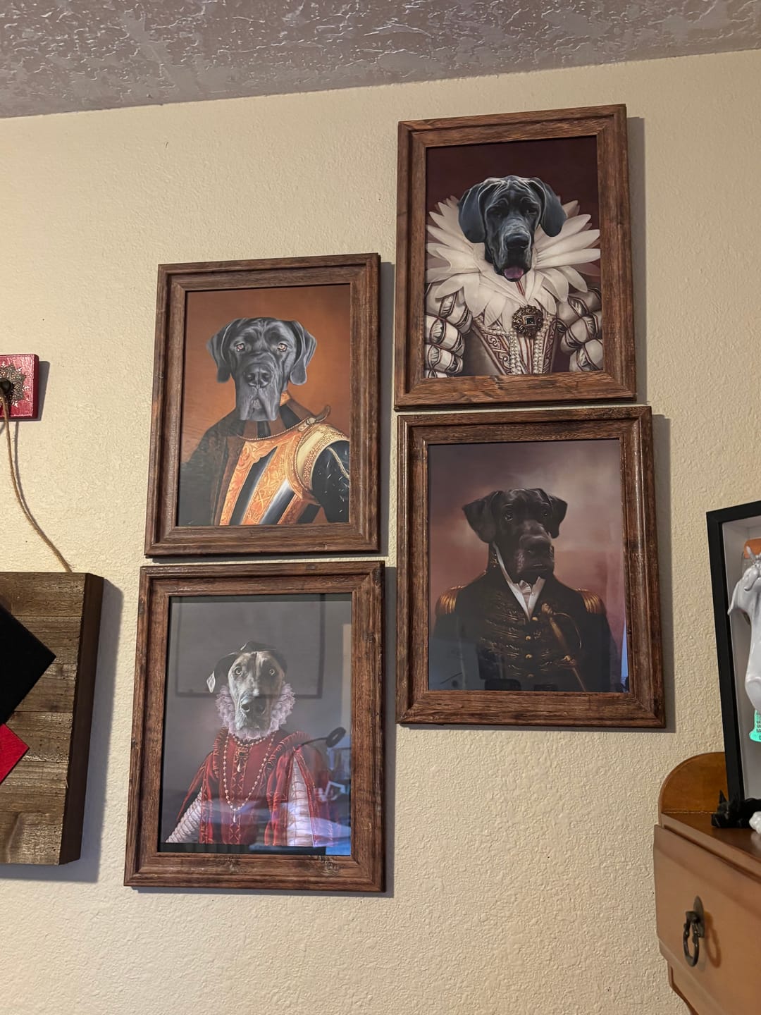 Customer photo review of The Queen of Roses - Custom Pet Poster