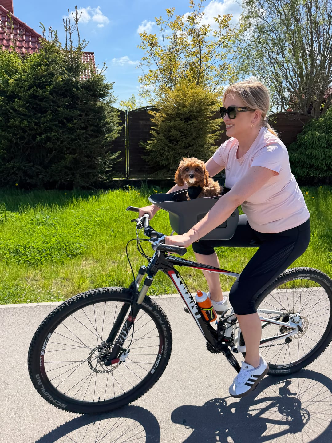 Customer photo review of Kvisp Dog Bike Carrier