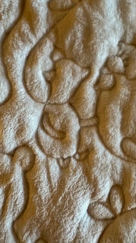 Close-up of the soft, textured PlushMere backing on the customer's Honey Dreams Easy Snuggle Quilt.