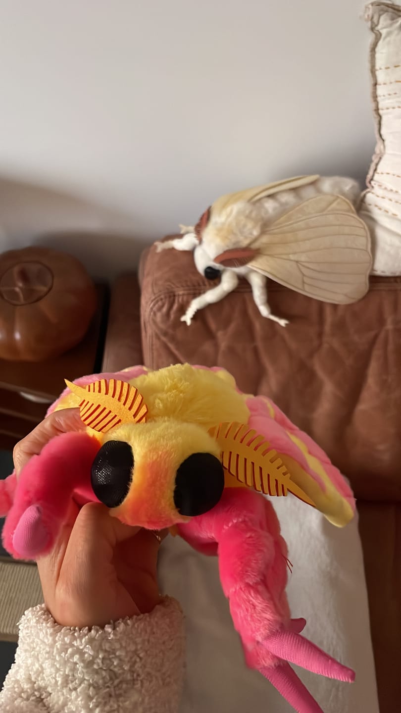 Customer photo review of Rosy Maple Moth Soft Stuffed Plush Toy