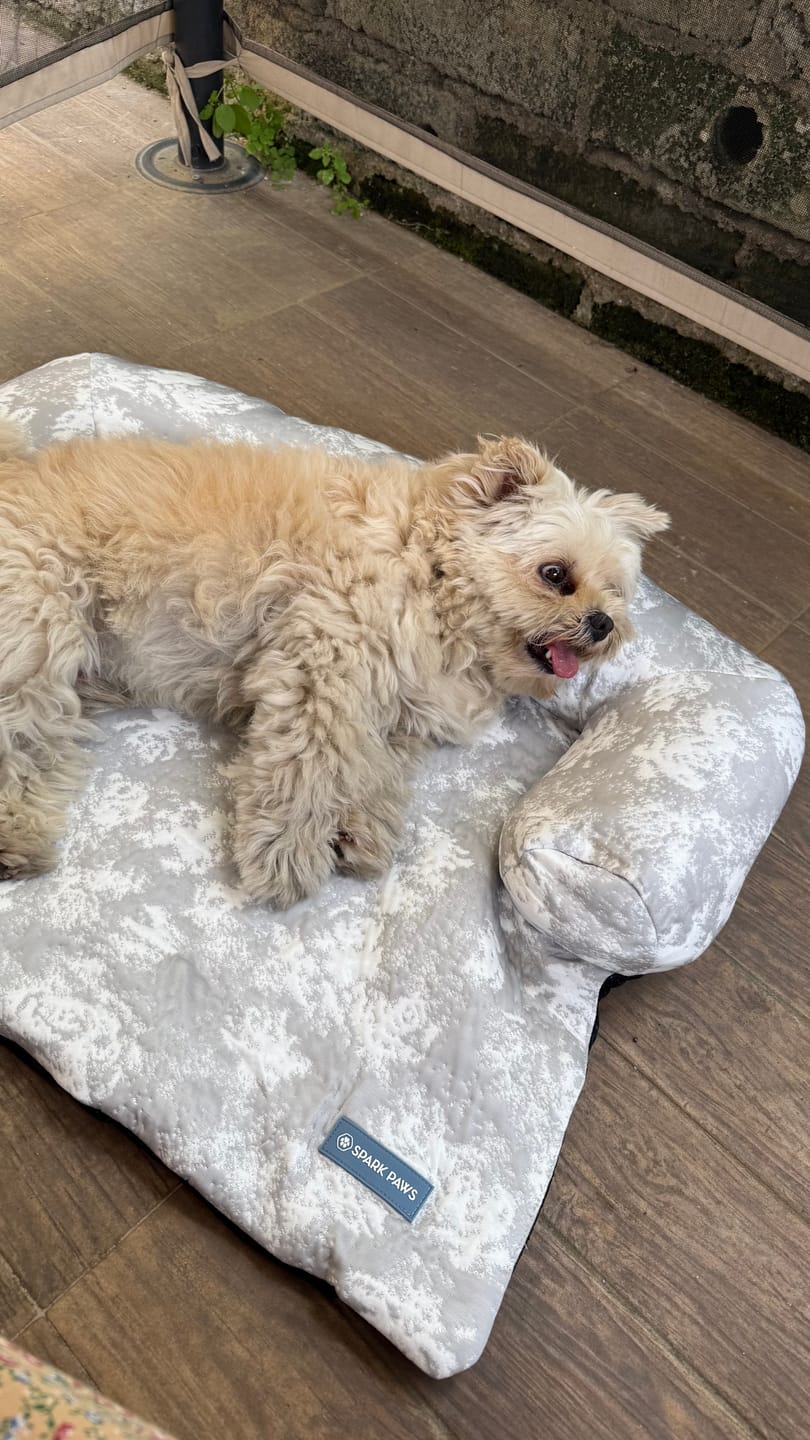Customer photo review of Frostcore™ Cooling Couch Cover Dog Bed and Cooling Mat Set - Clouds Grey