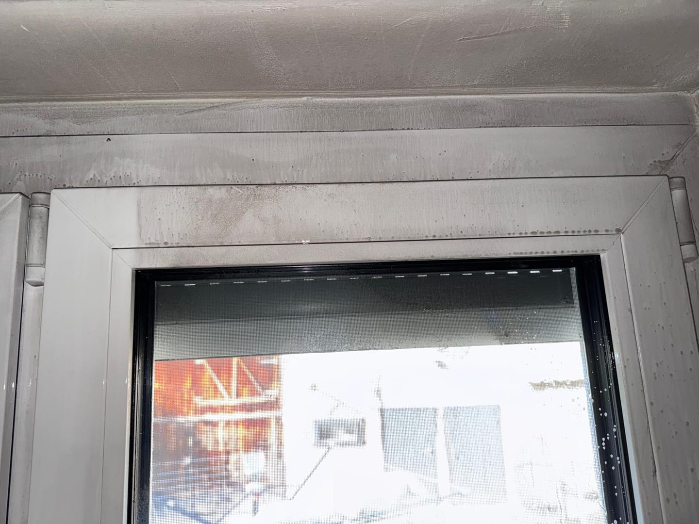 Customer photo review of VANEX - SMOKER