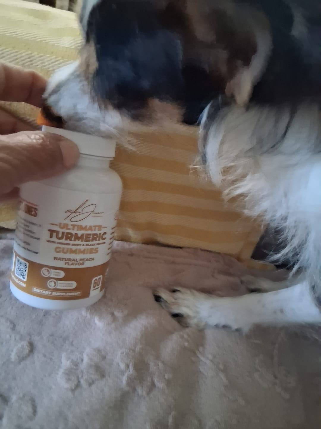 Customer photo review of Ultimate Turmeric Gummies With Ginger Root & Black Pepper (Peach Flavor) (60 Gummies) (60 Servings)