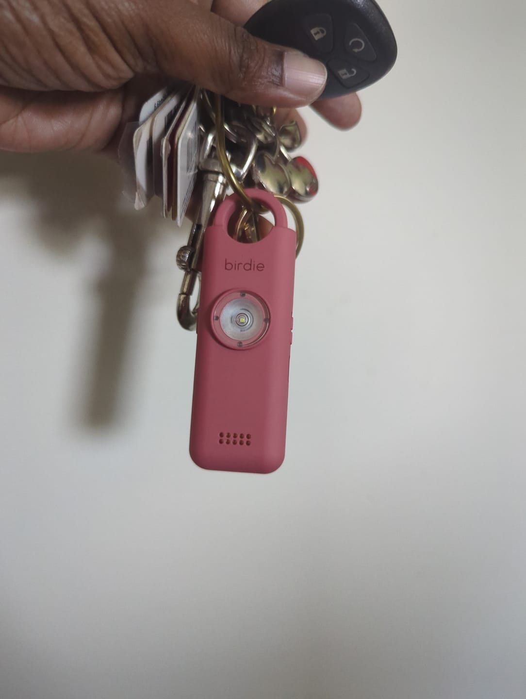Customer photo review of Birdie 3.0