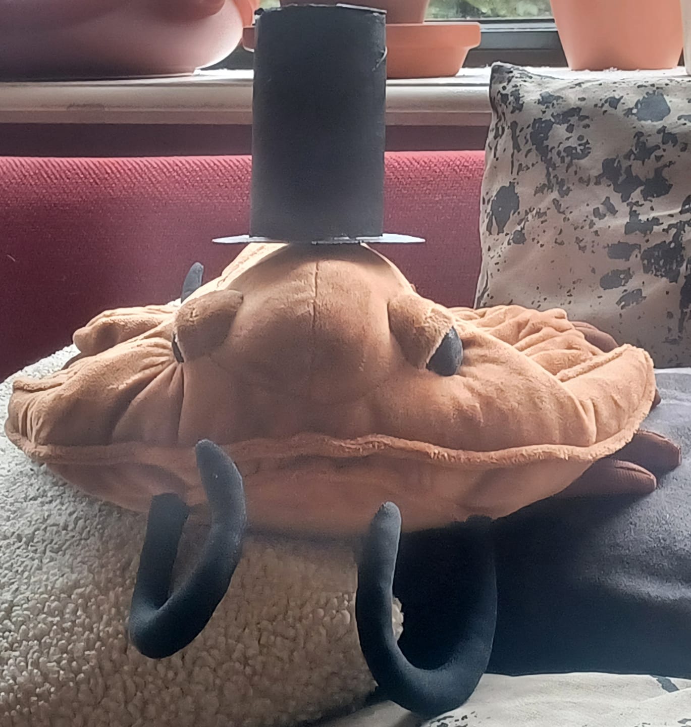 Customer photo review of Trilobite Arthropod Soft Stuffed Plush Toy