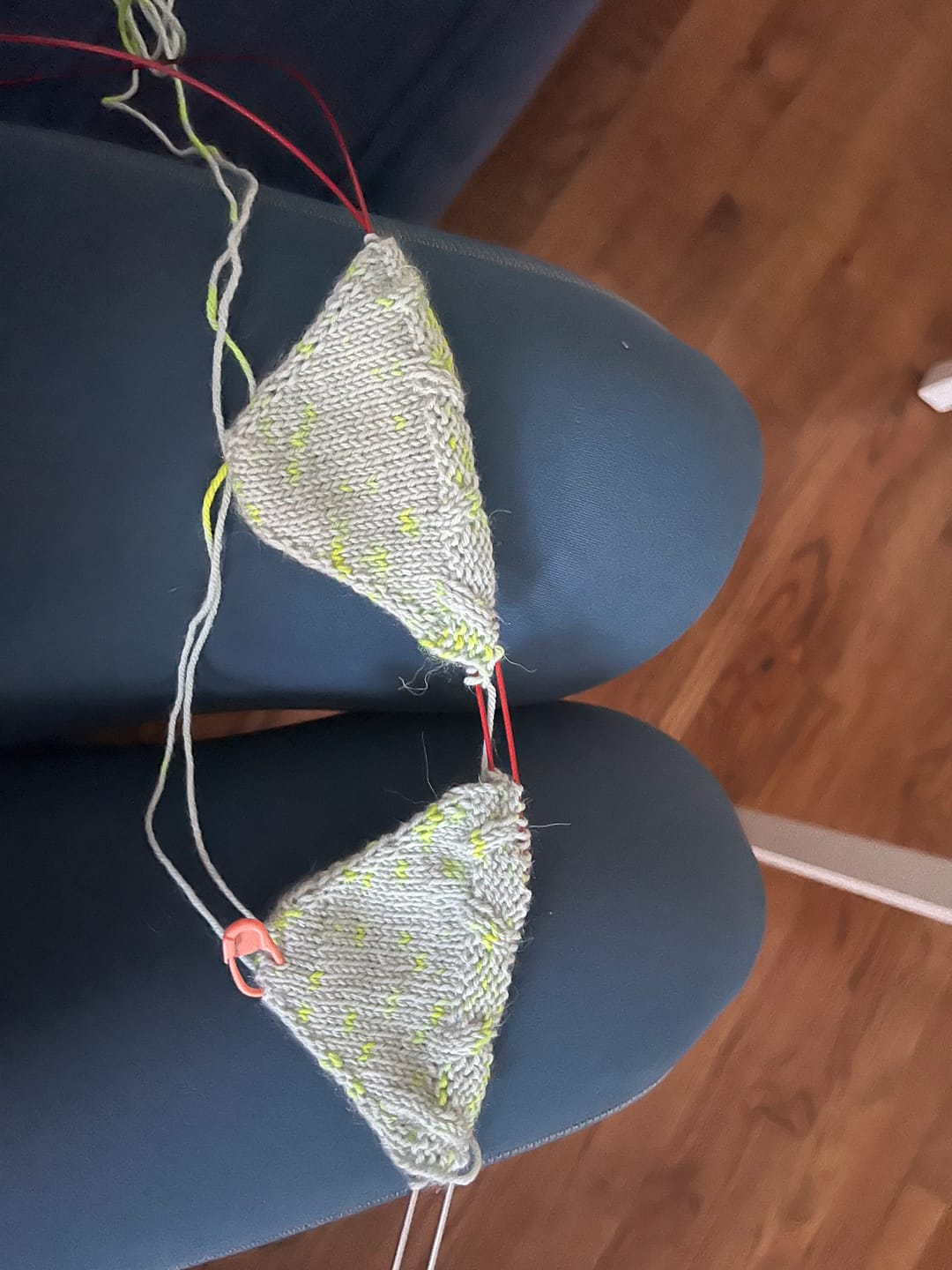 Customer photo review of 2026 1st Quarter Sock Club Box