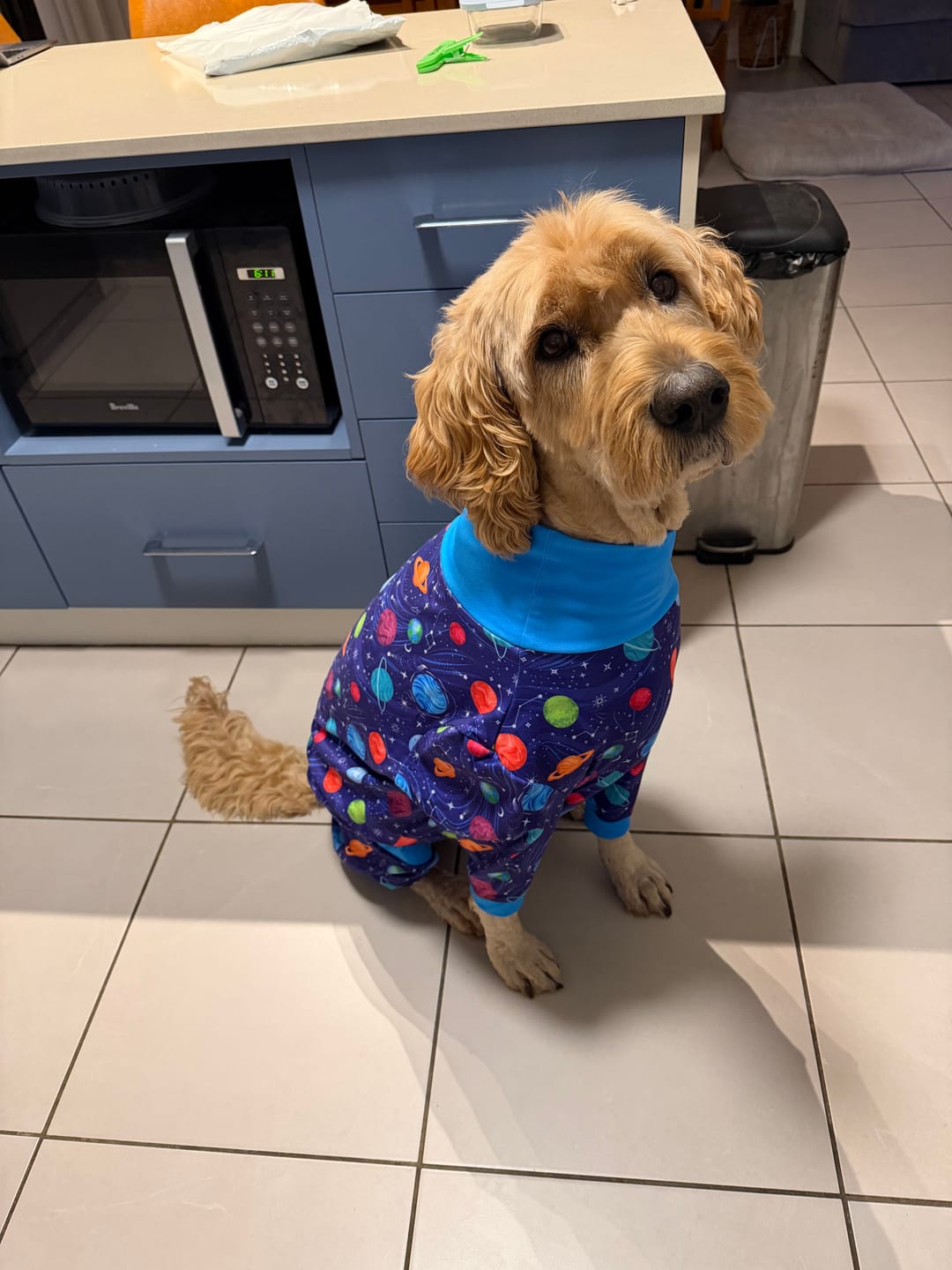 Customer photo review of Dog Pajama Prints