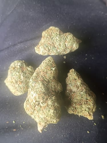 Customer photo review of Blueberry Muffin THCA Flower