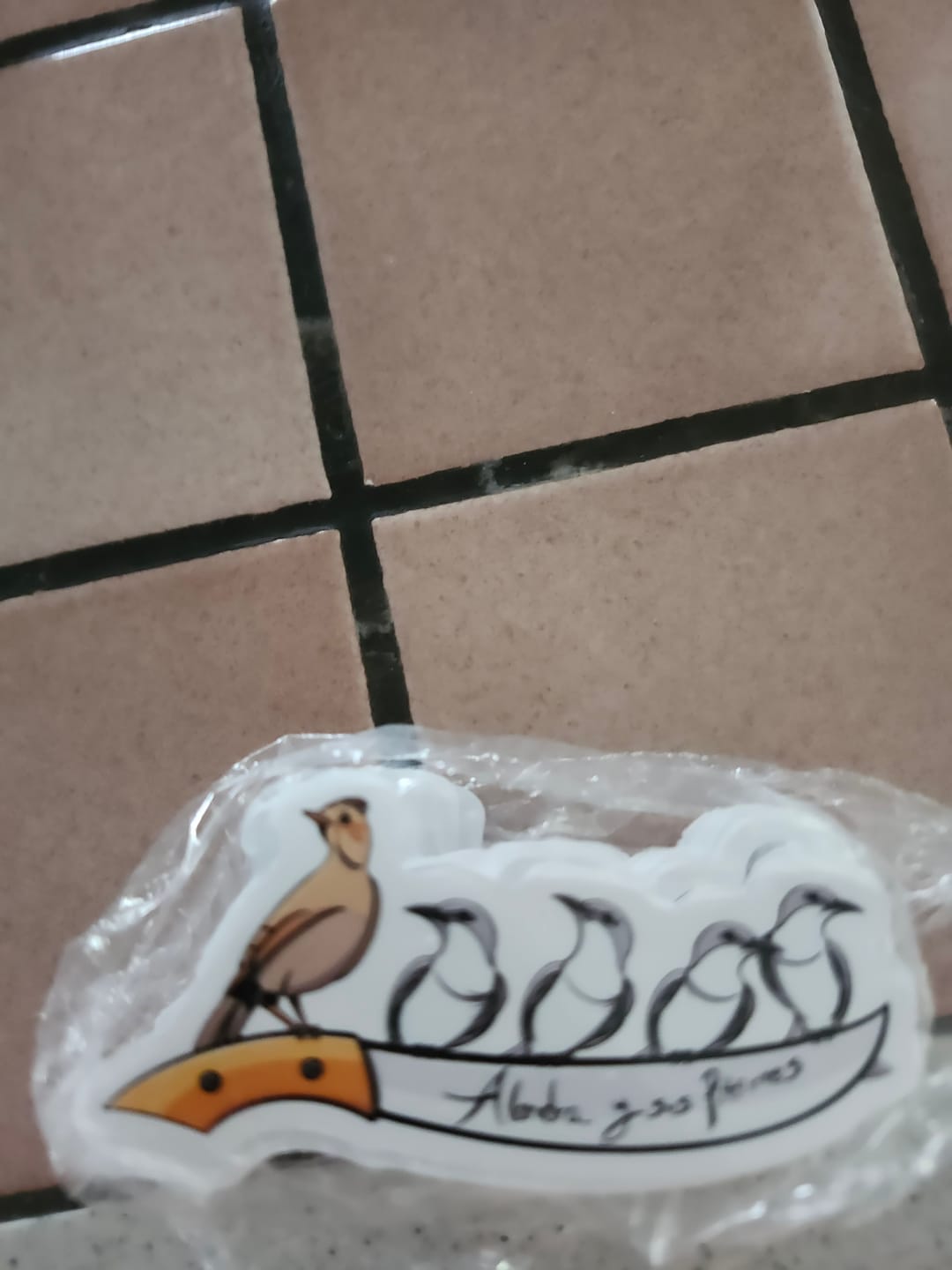 Customer photo review of Stickers Custom Cut (Económicos)