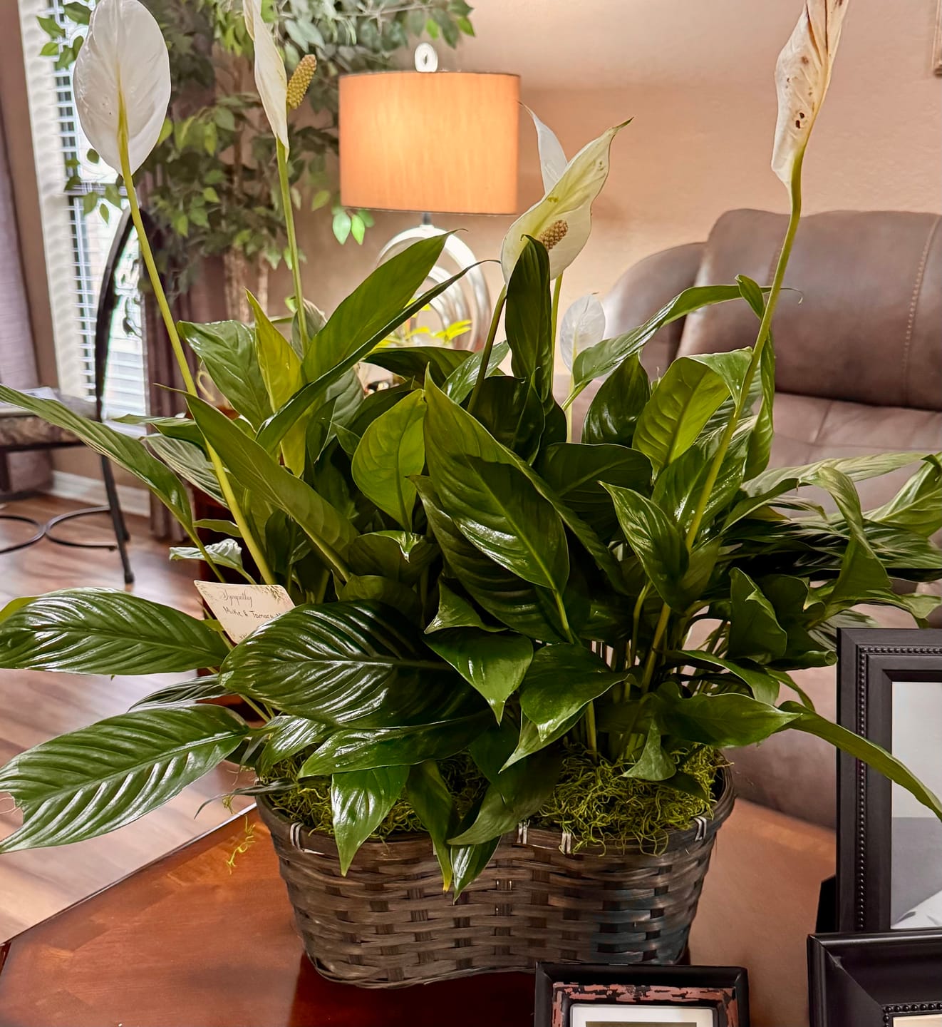 Customer photo review of Double Peace Lily Peanut Basket