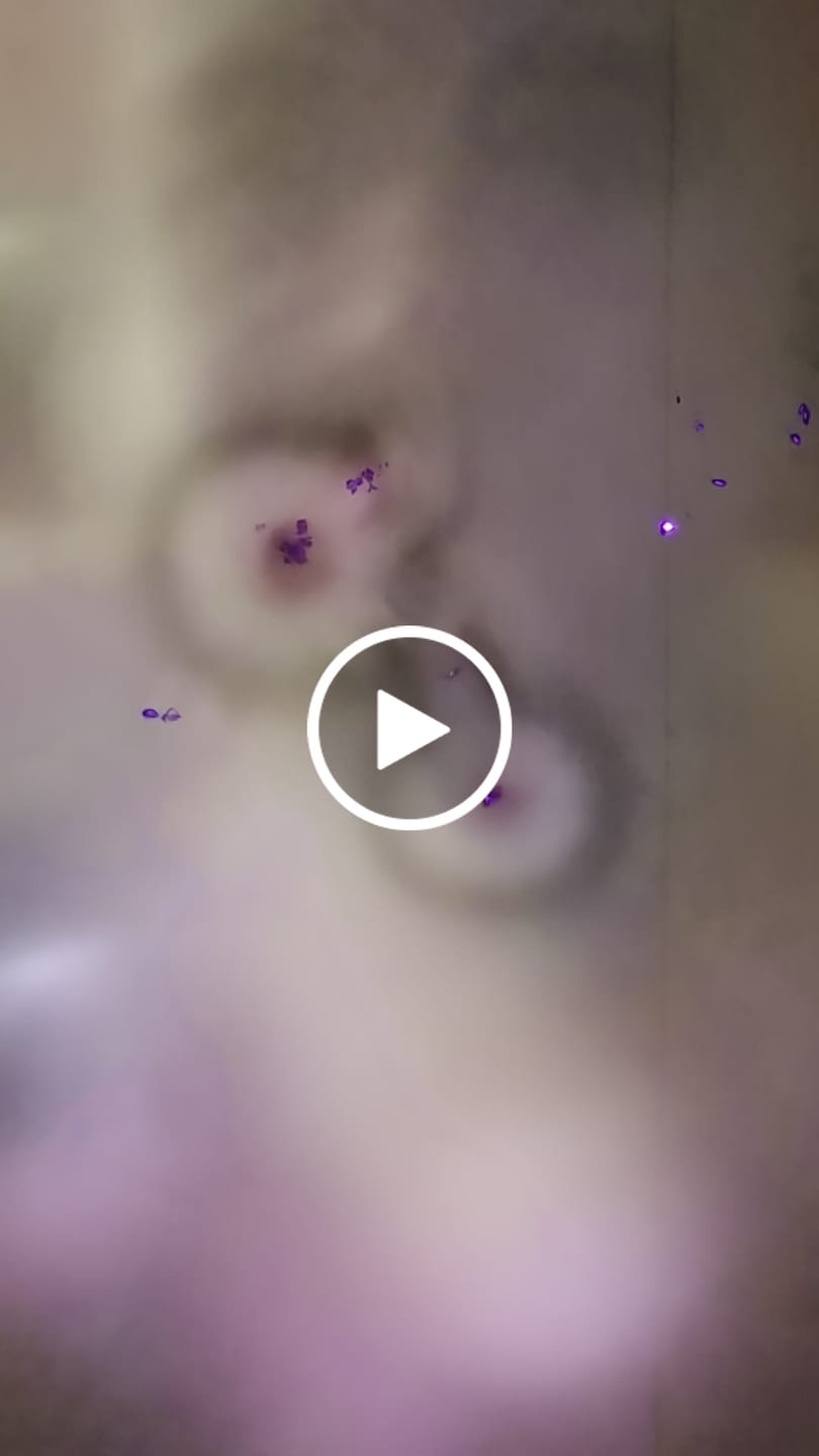 Customer video review of FREE Today: Shield Archangel St. Michael Ring: Two Tone Option Sacred Guardian Faith Finger Jewelry