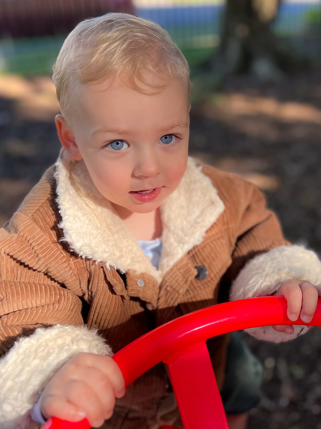 Customer photo review of Kids Organic Cotton Corduroy & Sherpa Jacket