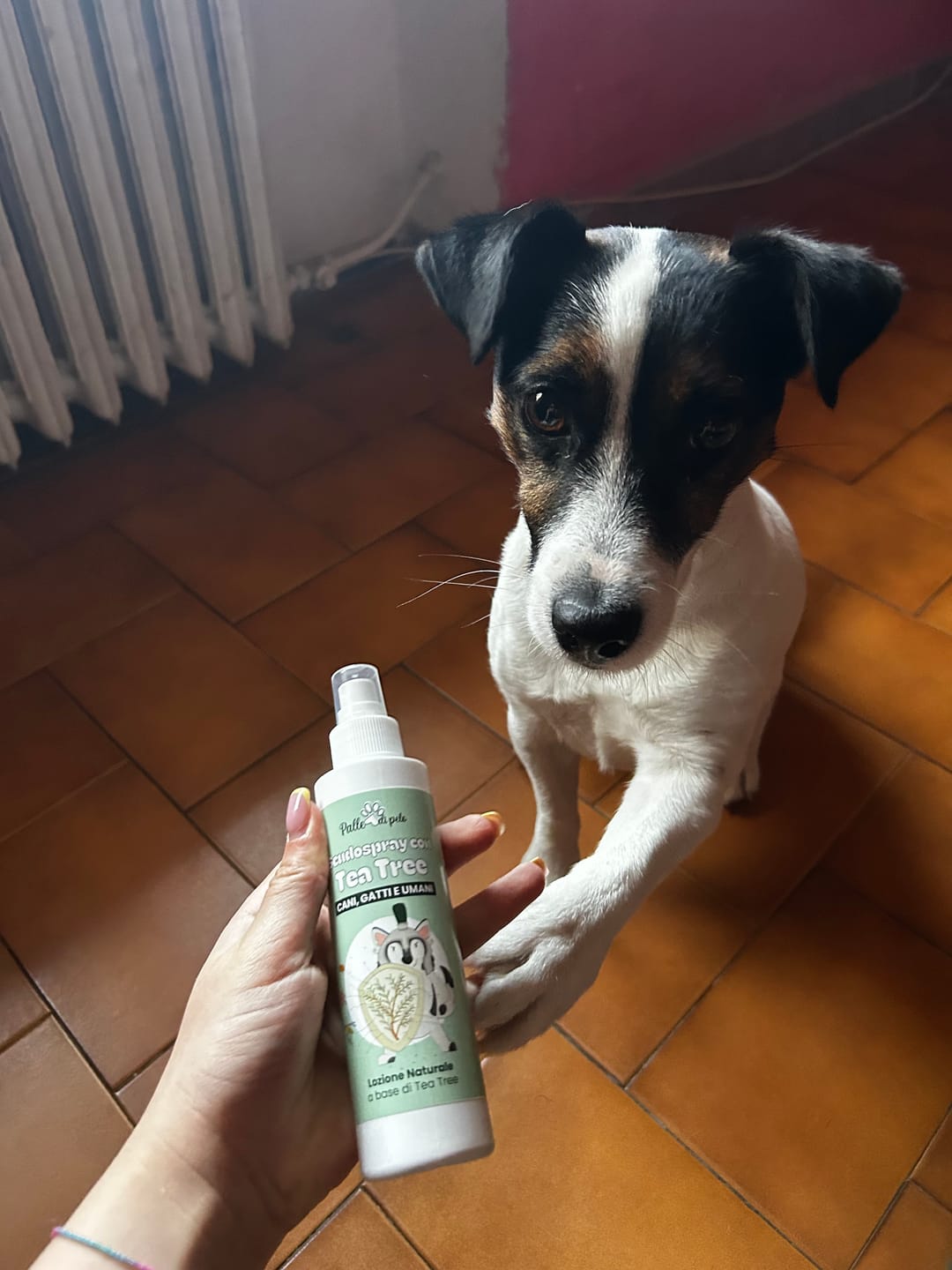 Customer photo review of SCUDOSPRAY cani, gatti e umani - scudo naturale contro insetti