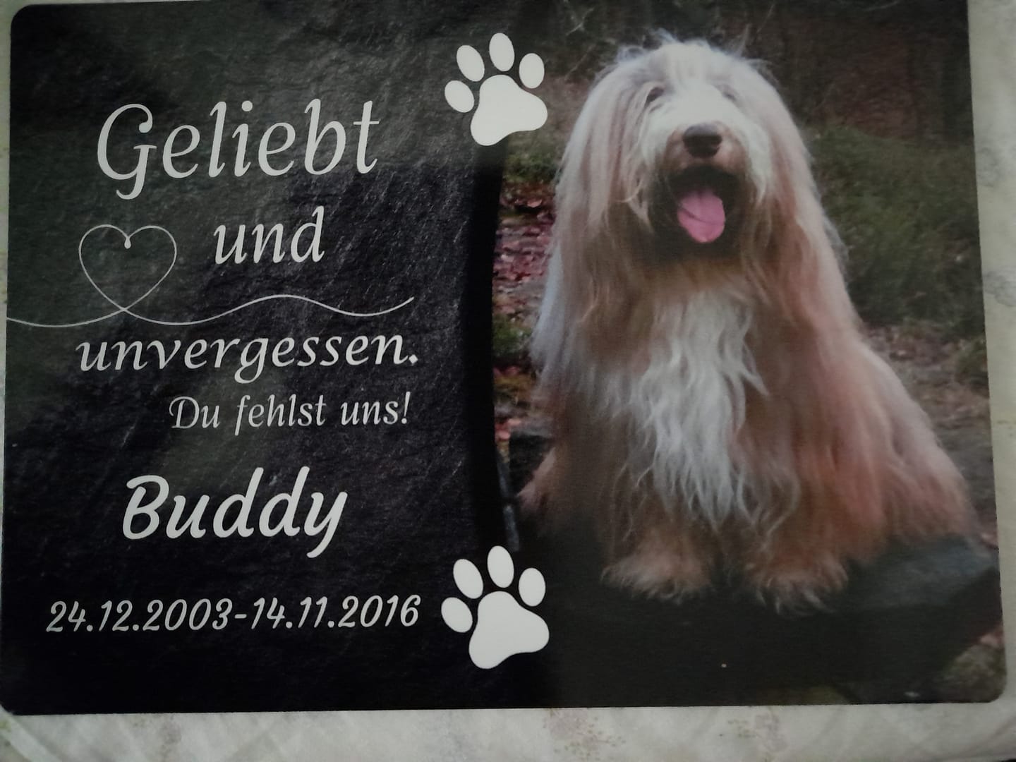 Customer photo review of Hunde Gedenktafel mit Foto & Spruch (UV- &  Wetterfest)