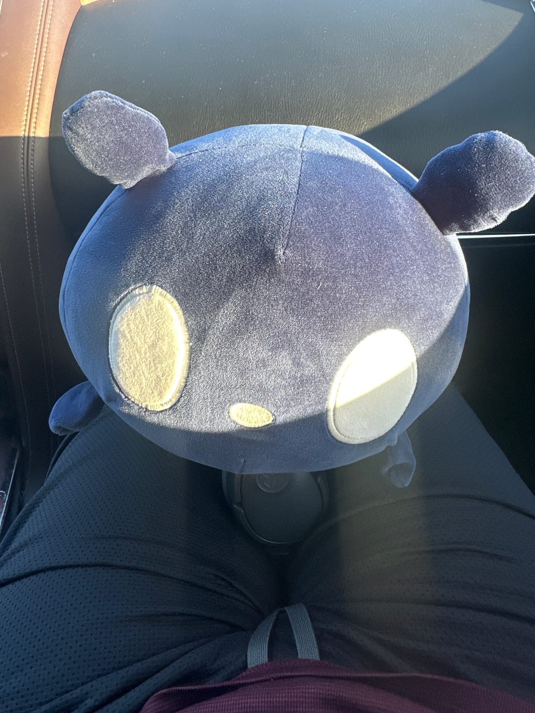 Customer photo review of Rain World - Watcher Slugcat Pillow Plush