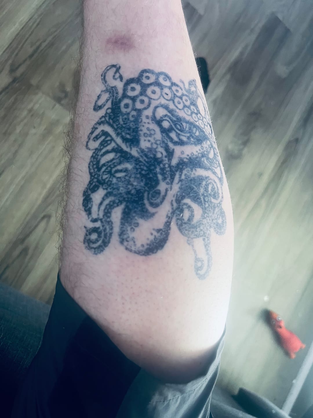Customer photo review of Octopus