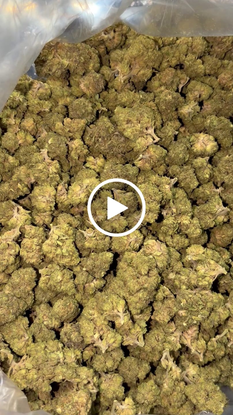 Customer video review of Dante's Inferno Light Assist THCA