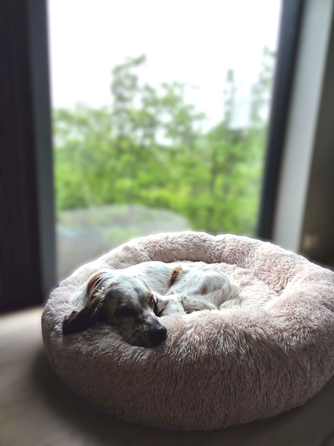Customer photo review of CalmBed - Motvirker stress & hjelper mot angst