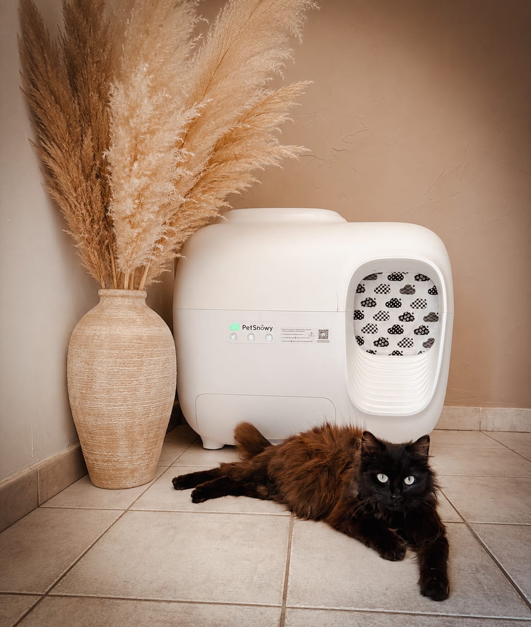 Customer photo review of Self-Cleaning Litter Box