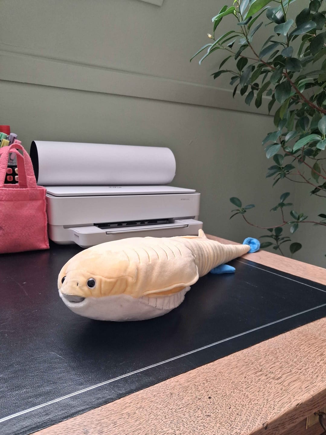 Customer photo review of Sacabambaspis Prehistoric Fish Plush – Adorably Soft and Perfect for Science Lovers