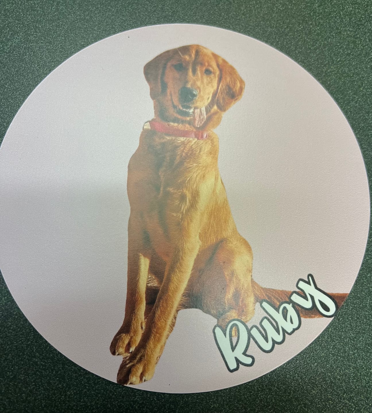 Customer photo review of Your photo - Personalized Car Magnet