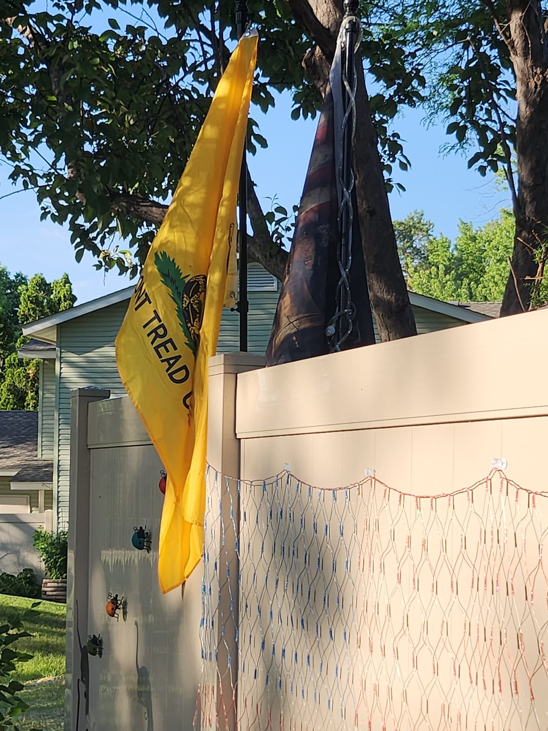 Customer photo review of Don't Tread On Me Gadsden 3 x 5 Flag