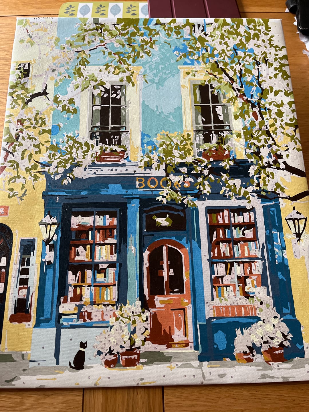 Customer photo review of The Blue Bookshop | Paint by Number