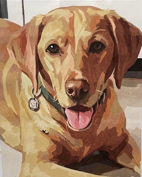 Customer photo review of Custom Paint By Numbers - Personalized Pet Portraits