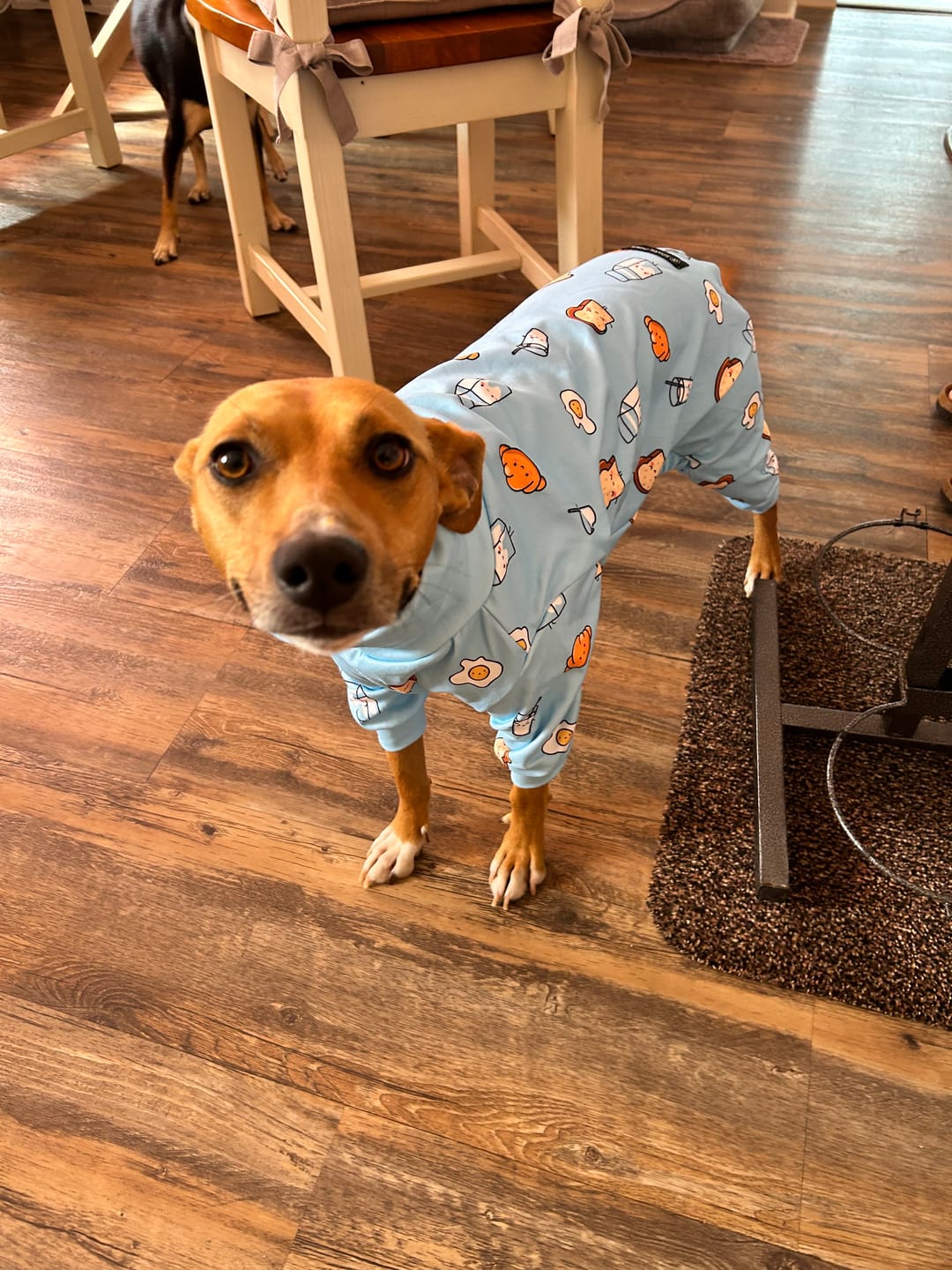 Customer photo review of Dog Pajama Prints
