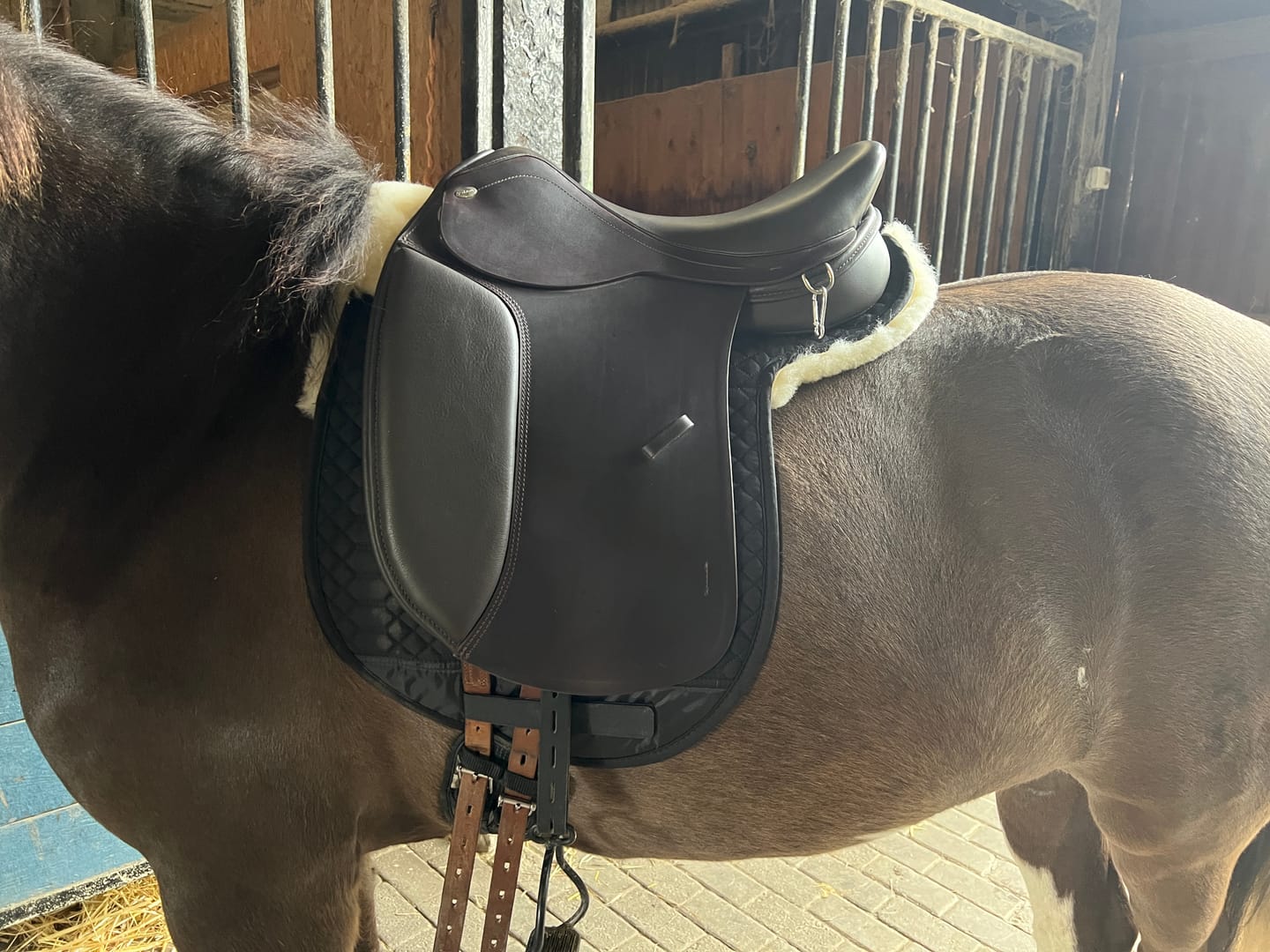 Customer photo review of Engel - Fell Satteldecke Tölt für Isländer