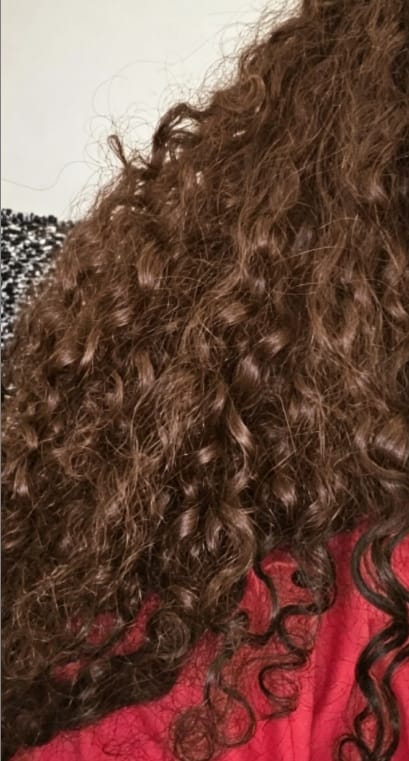 Customer photo review of Wavymy Chocolate Brown Burmese Curly Feather Crochet Human Hair Boho Braids Hair Extensions
