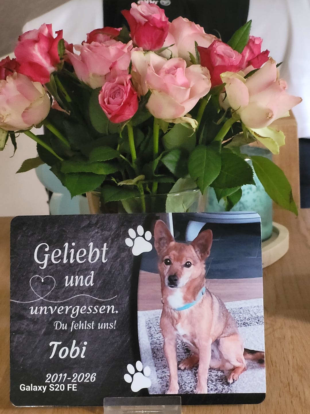Customer photo review of Hunde Gedenktafel mit Foto & Spruch (UV- &  Wetterfest)