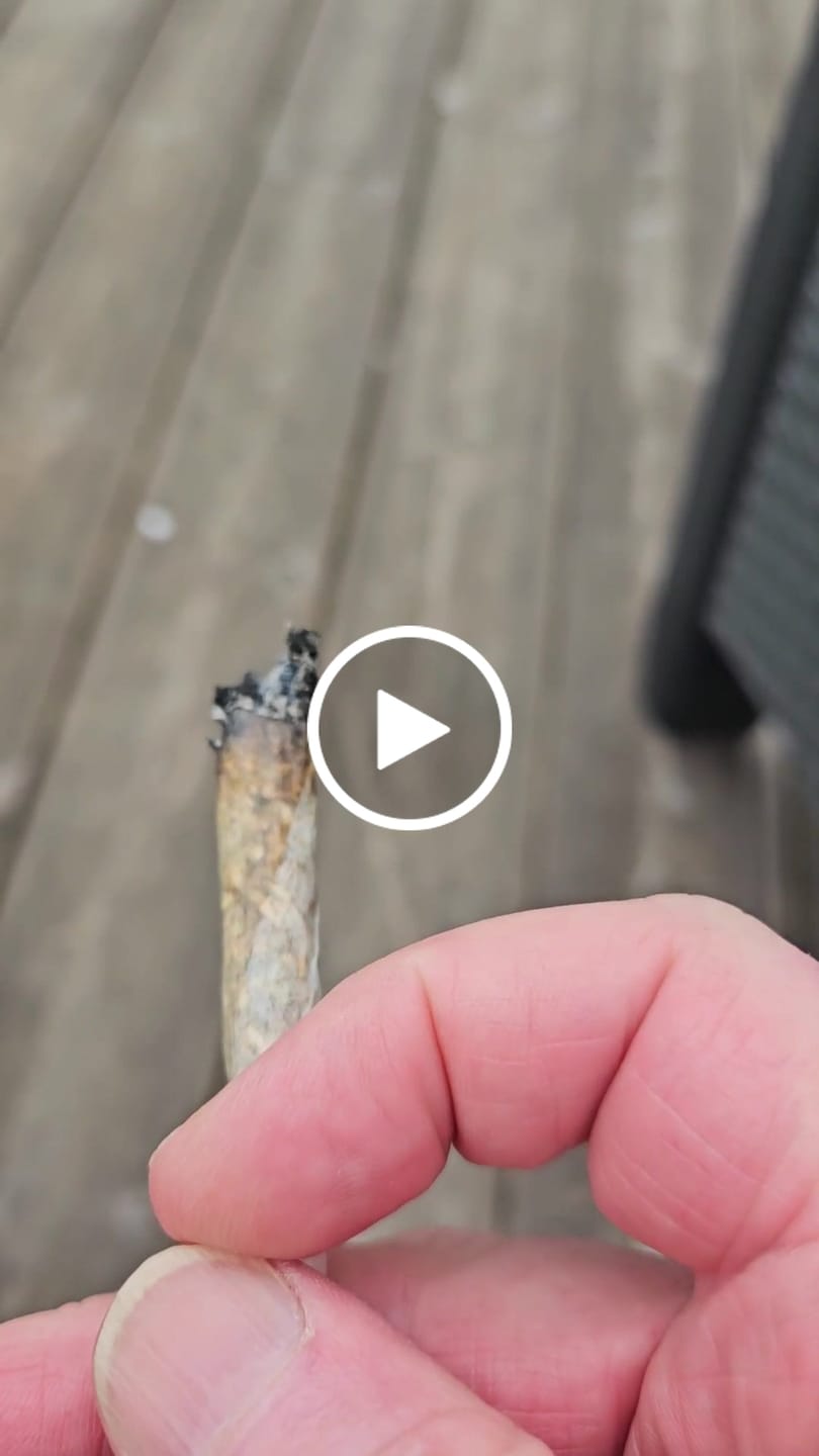 Customer video review of 💥 Diesel Dynamite - SATIVA TURBO LVL 5/5