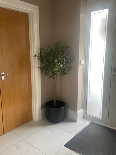 Reviewer's matt black Iron Pot with a faux tree, styled in the corner of a bright hallway.